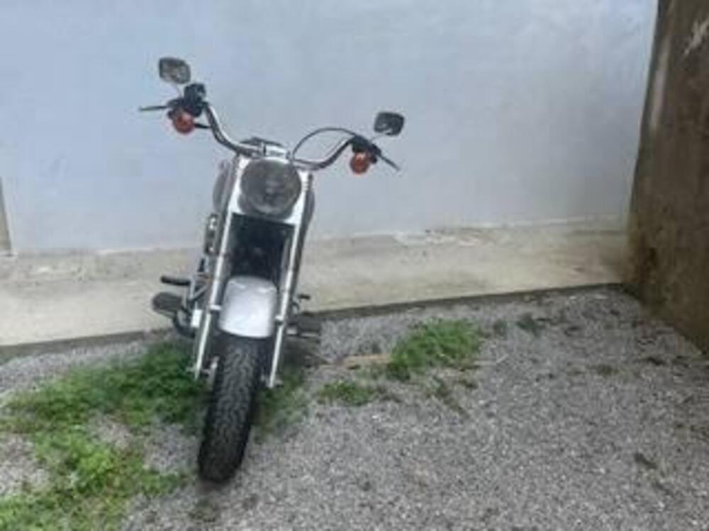 Harley-Davidson Softail Fat Boy (3)