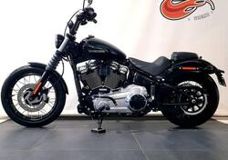Harley-Davidson Street Bob 117 (2025) nuova