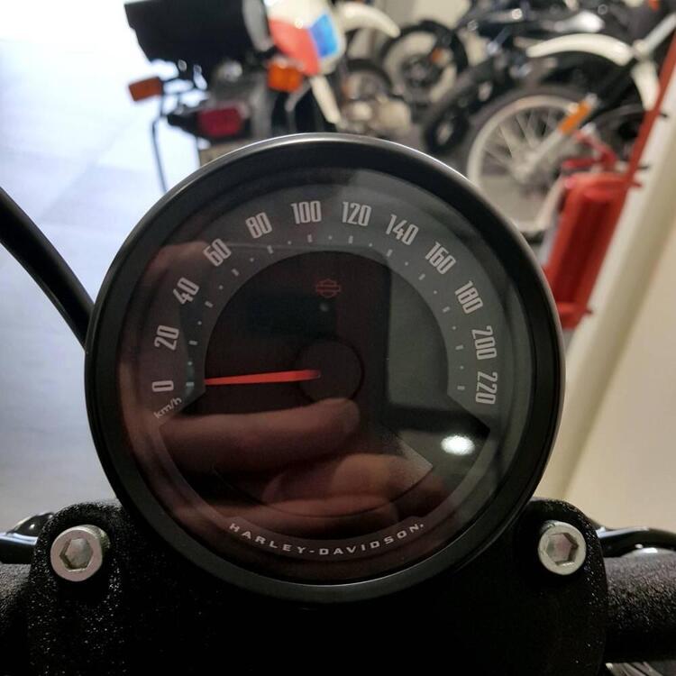 Harley-Davidson Street Bob 117 (2025) (5)