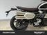 Triumph Scrambler 1200 X Icon Edition (2025) (8)
