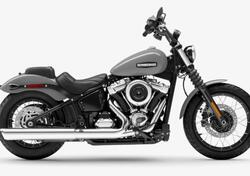 Harley-Davidson Street Bob 117 (2025) nuova