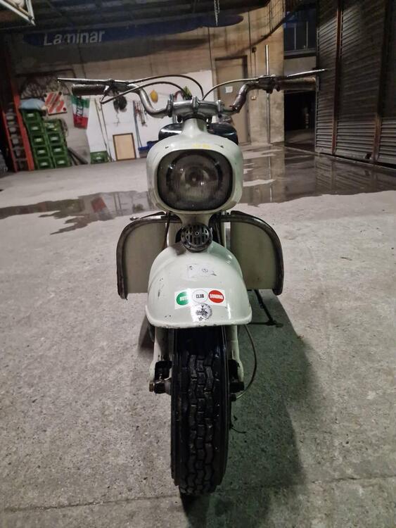 Rumi Formichino 125 (3)