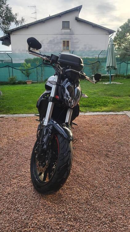 Benelli BN 302 S (2019 - 20) (3)