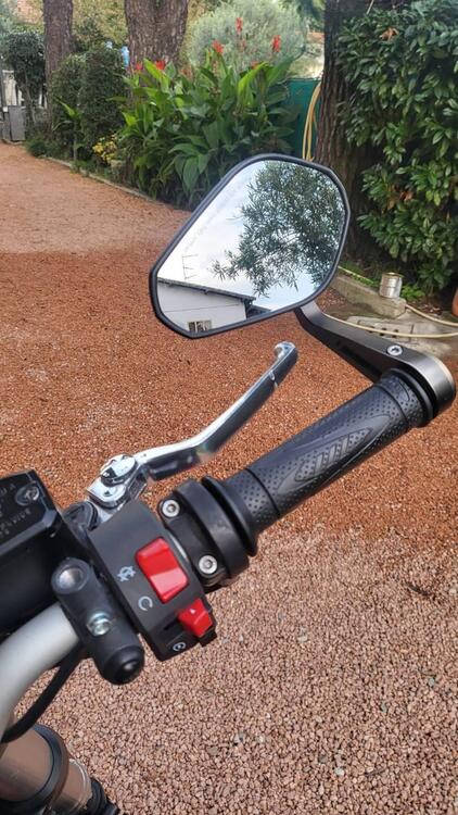 Benelli BN 302 S (2019 - 20) (4)