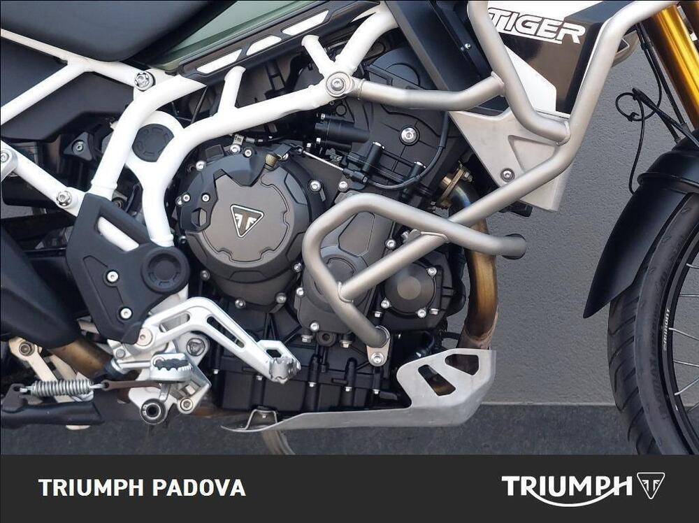 Triumph Tiger 900 Rally Pro (2020 - 23) (3)