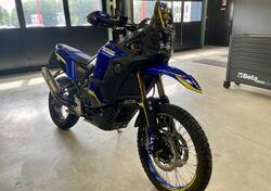 Yamaha Ténéré 700 World Raid (2022 - 25) usata