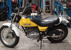 Suzuki Van Van RV 125 (2003 - 06) usata