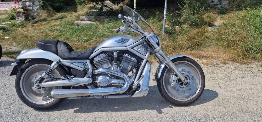 Harley-Davidson 1130 V-Rod (2002 - 05) - VRSCA