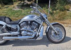 Harley-Davidson 1130 V-Rod (2002 - 05) - VRSCA usata