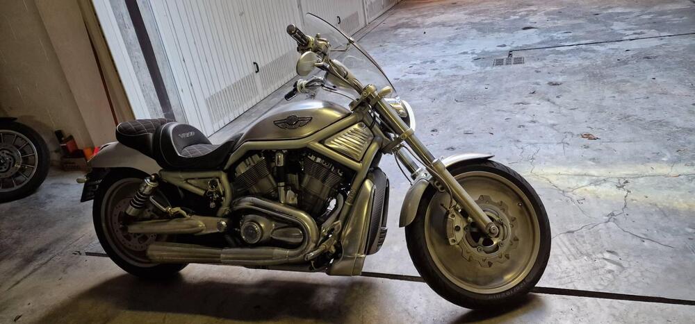 Harley-Davidson 1130 V-Rod (2002 - 05) - VRSCA (3)