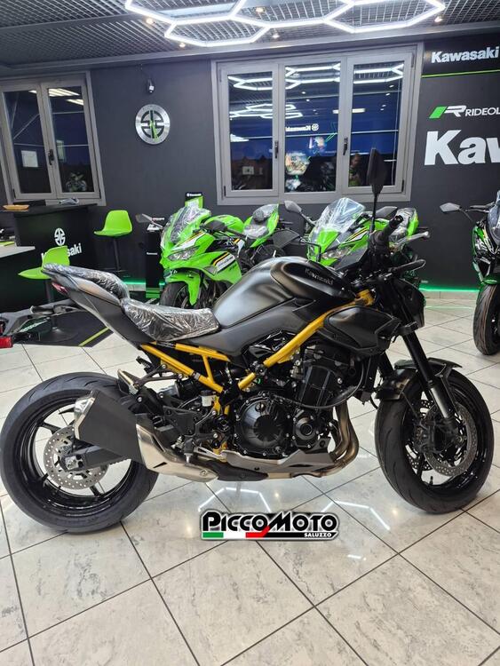 Kawasaki Z 900 (2025 - 26)
