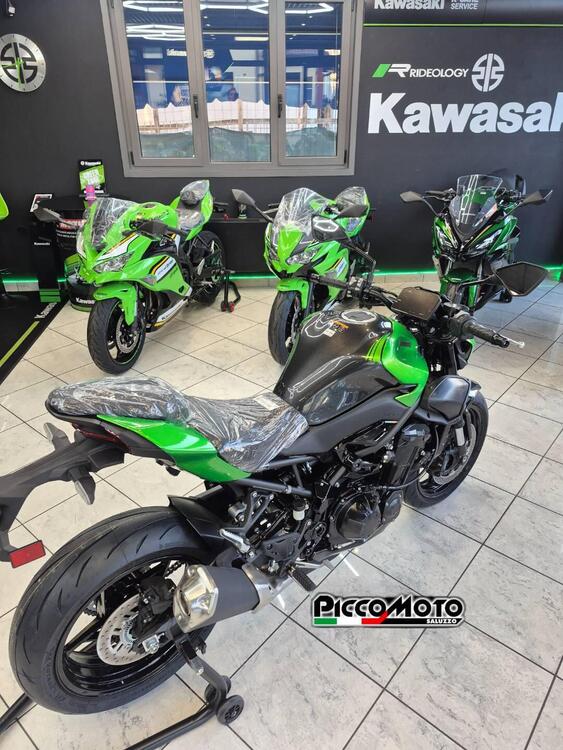 Kawasaki Z 900 (2025 - 26) (4)