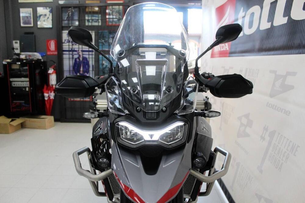 Triumph Tiger 900 GT Pro (2024 - 25) (4)