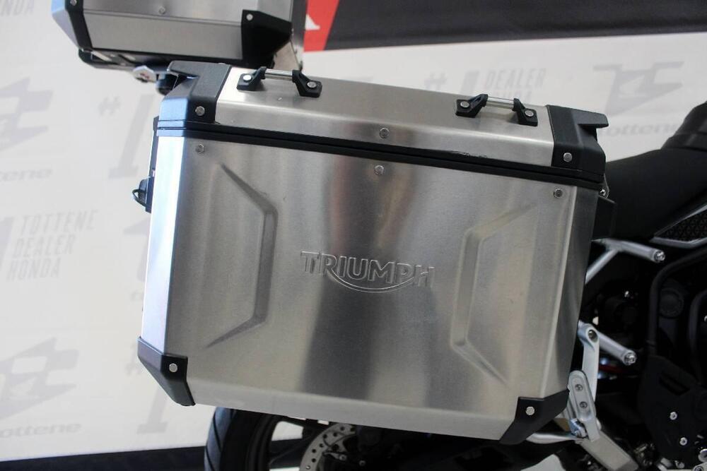 Triumph Tiger 900 GT Pro (2024 - 25) (5)