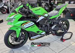Kawasaki Ninja ZX-4RR (2024 - 26) nuova