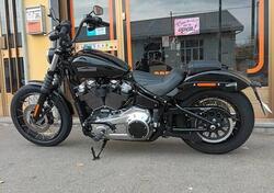 Harley-Davidson Street Bob 117 (2025) usata