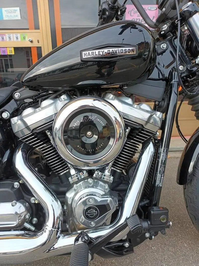 Harley-Davidson Street Bob 117 (2025 - 26) (12)