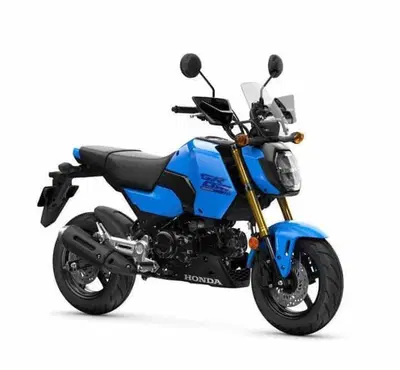 Honda MSX 125 Grom (2021 - 26) nuova