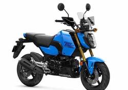 Honda MSX 125 Grom (2021 - 25) nuova