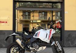 Ducati DesertX (2022 - 25) usata