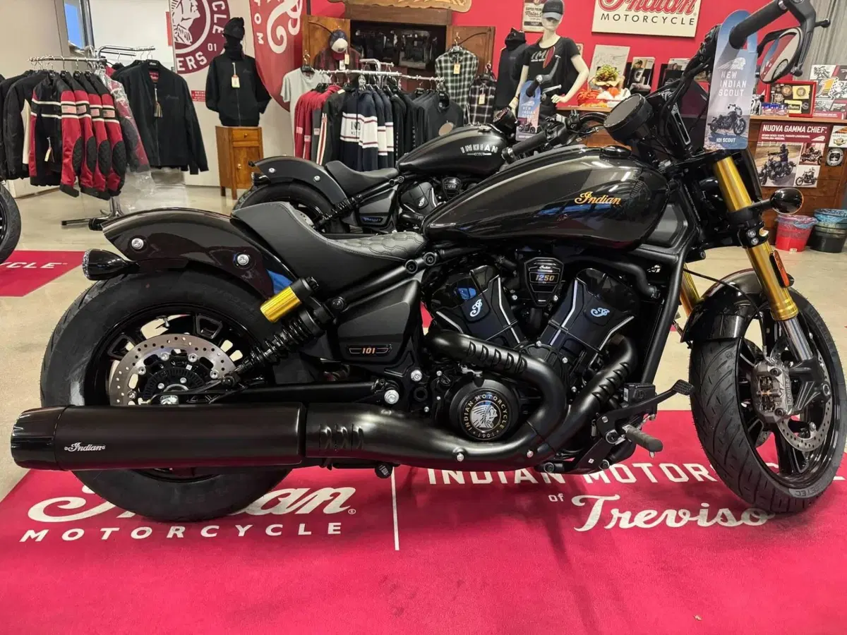 Indian Scout 1250 101 (2025 - 26)