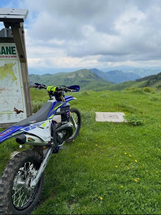 Sherco 250 SE Factory (2024) (2)