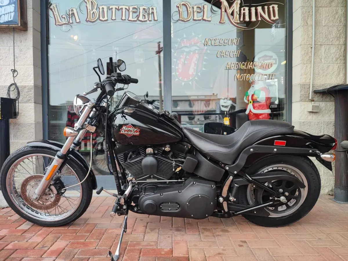 Harley-Davidson 1450 Night Train (1999 - 03) - FXSTB (10)