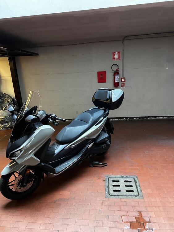 Honda Forza 350 Deluxe (2022 - 24) (2)