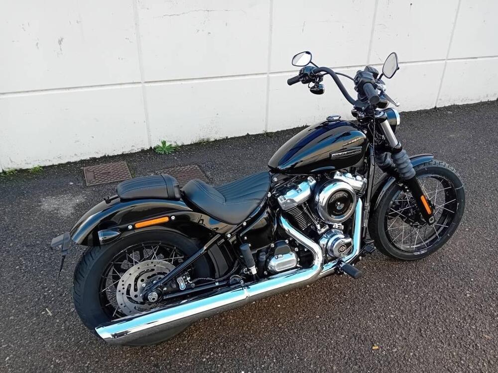 Harley-Davidson Street Bob 117 (2025) (4)