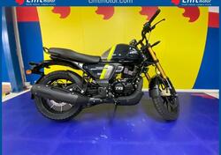 TVS Motor Ronin 250 (2024 - 25) nuova