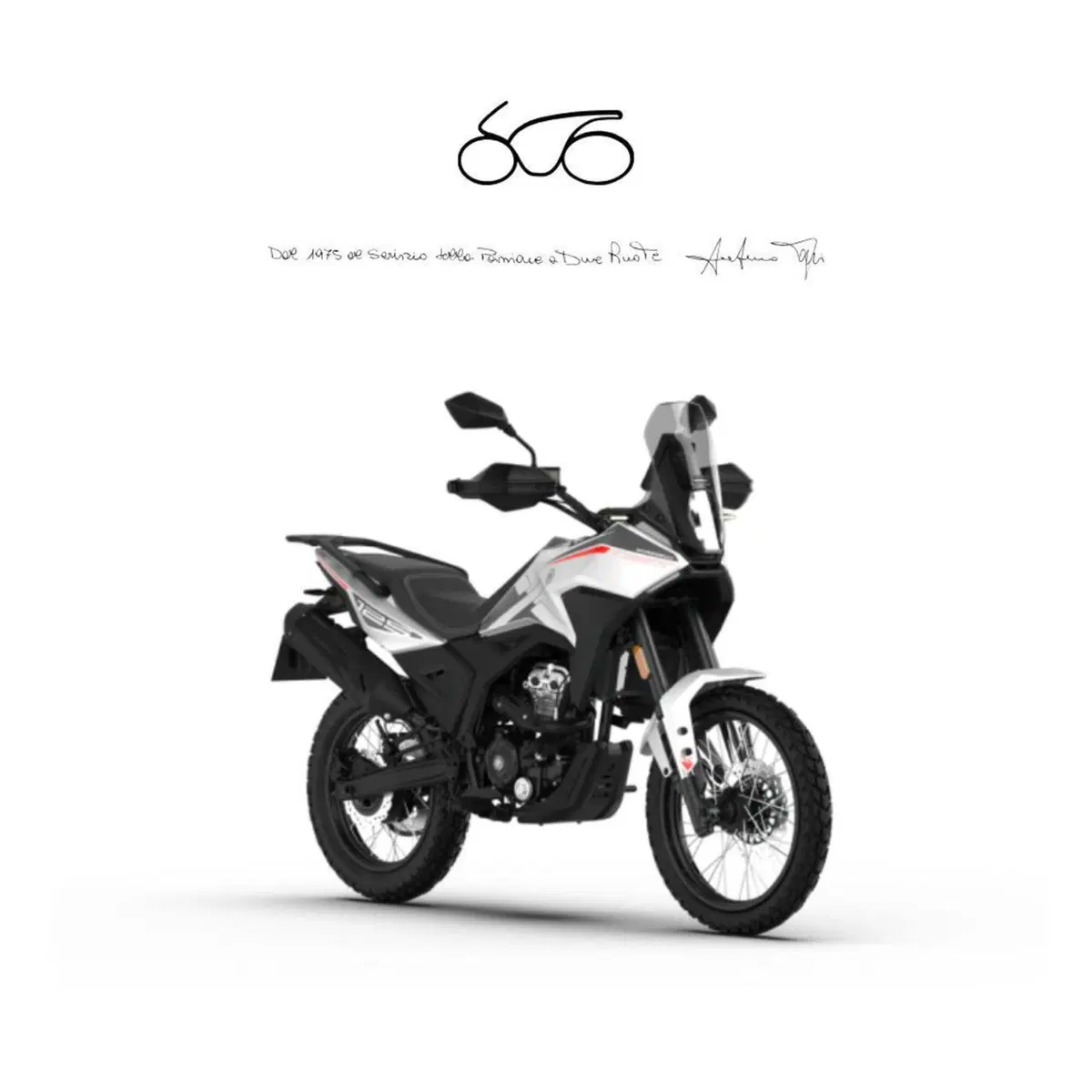 Morbidelli T125X (2025 - 26)