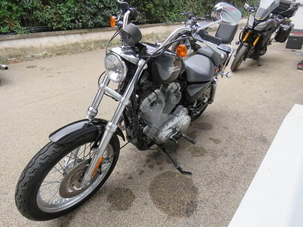 Harley-Davidson 883 (2008 - 09) - XL (5)