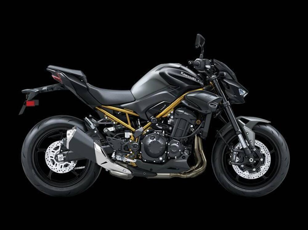 Kawasaki Z 900 (2025 - 26)