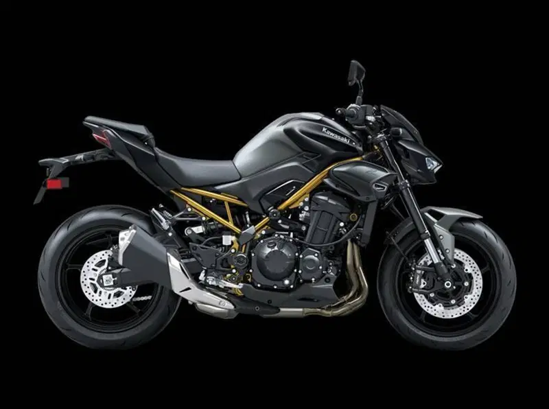 Kawasaki Z 900 (2025 - 26)