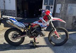 GASGAS EC 300 Six Days (2010 - 11) usata