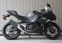 Kawasaki Ninja 500 (2024 - 26) nuova