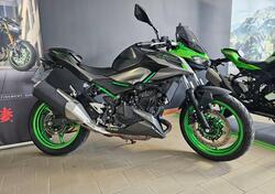 Kawasaki Z 500 SE (2024 - 26) usata