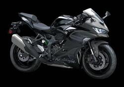 Kawasaki Ninja ZX-4RR (2024 - 26) nuova