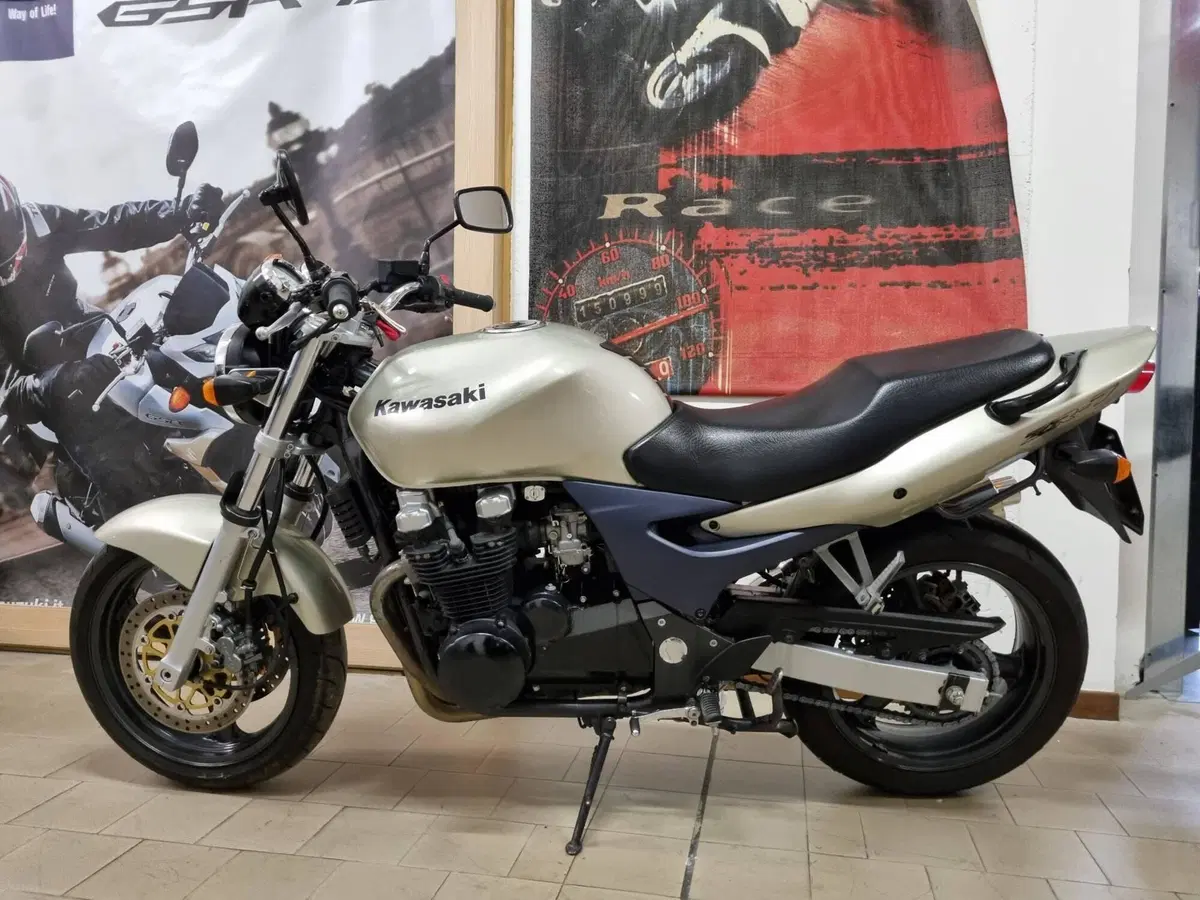 Kawasaki ZR-7 (1999 - 00) (5)