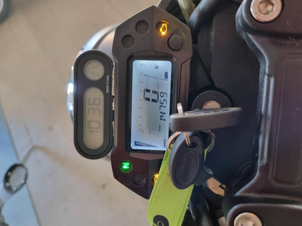 Mash Italia Dirt Track 650 (2019 - 20) (2)