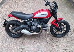 Ducati Scrambler 800 Icon (2015 - 16) usata