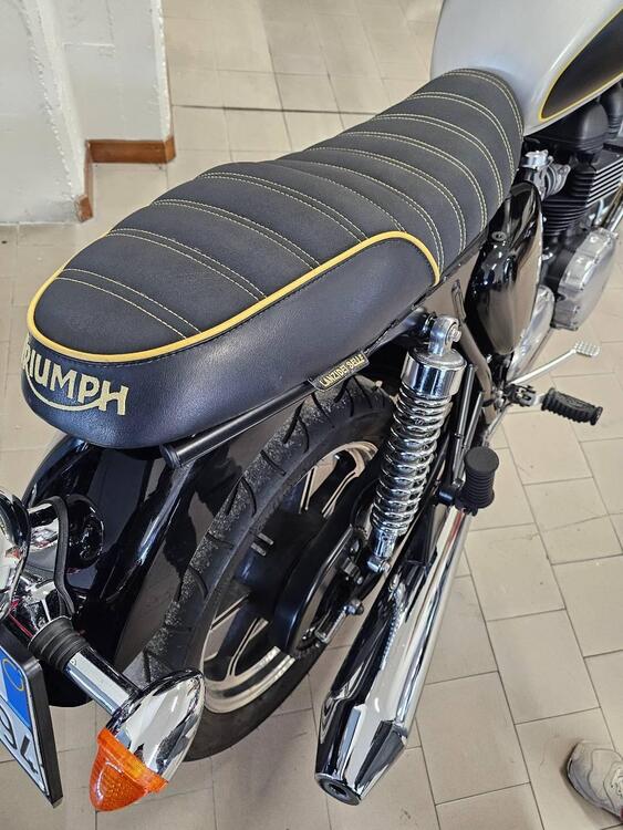 Triumph Bonneville SE (2009 - 13) (3)