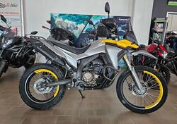 Voge Valico 300 Rally (2022 - 25) usata