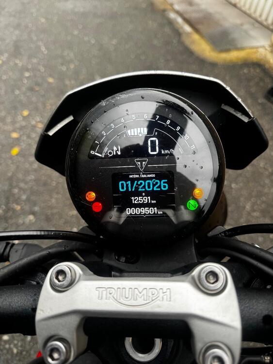 Triumph Trident 660 (2021 - 24) (5)