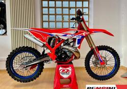 Betamotor RX 250 2T (2026) nuova