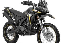 Voge Valico 300 Rally (2022 - 25) nuova