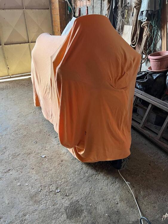 Suzuki Burgman AN 650 Executive ABS (2013 - 17) (4)