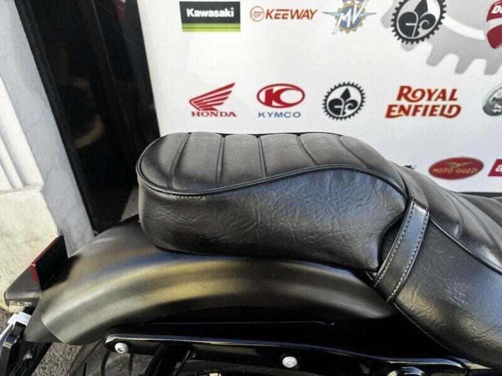 Harley-Davidson 883 Iron (2014 - 16) - XL 883N (5)