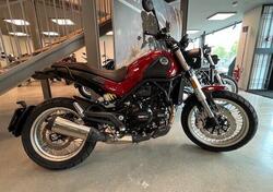 Benelli Leoncino 500 Trail (2021 - 25) nuova