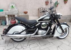 Kawasaki VN 800 Drifter (1999 - 00) usata